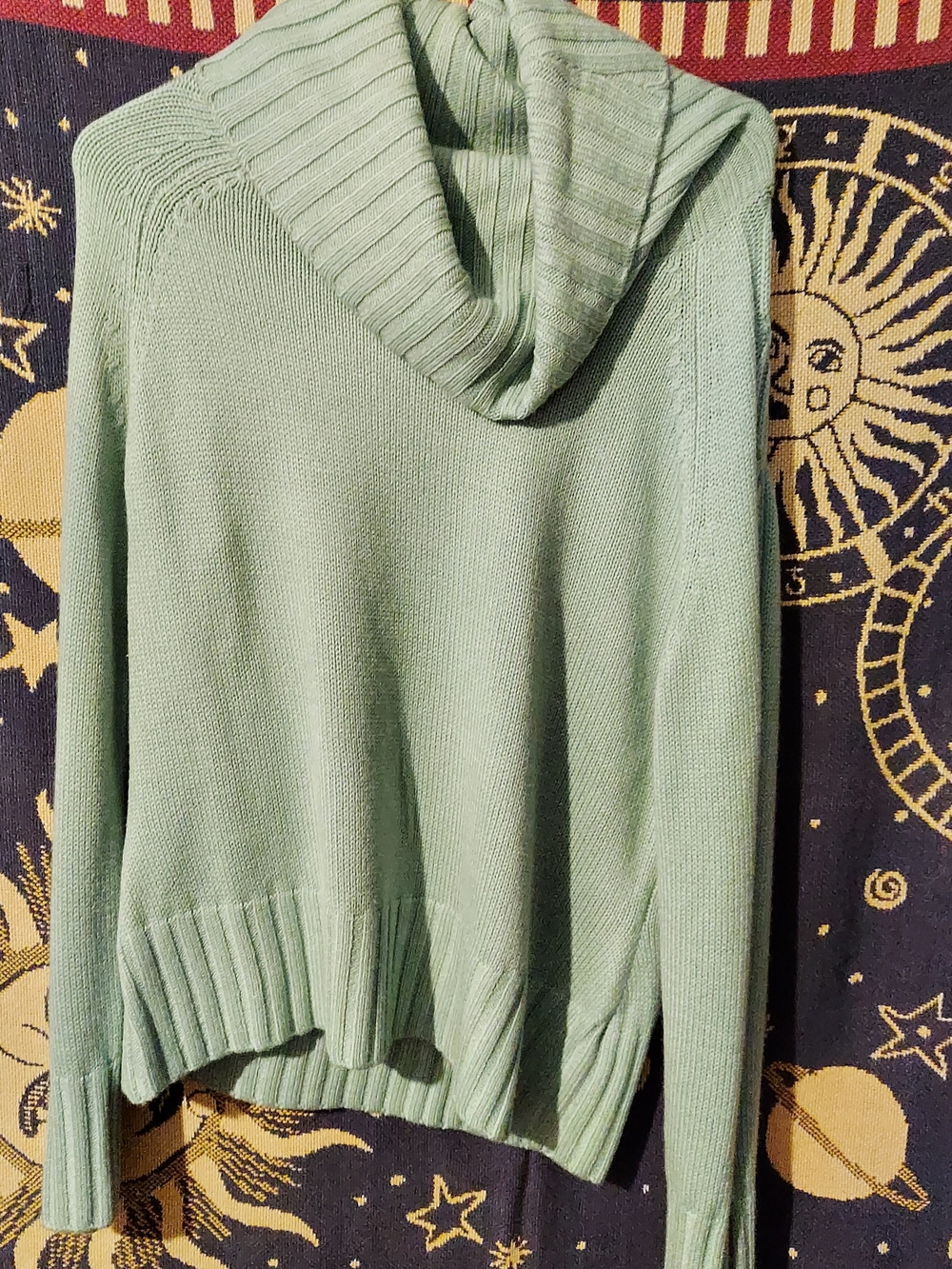 NWT Sonoma Sage Green Hooded Knit Sweater